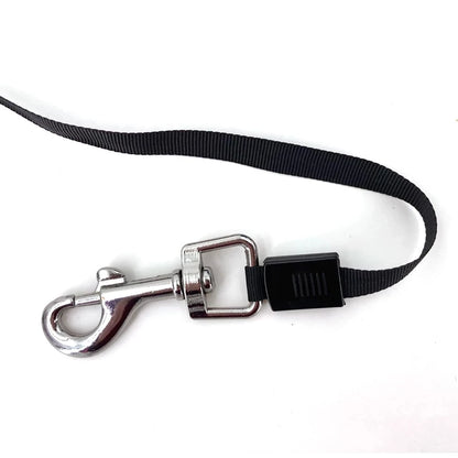 Retractable Dog Leash - Automatic Flexible Lead for Small, Medium & Large Dogs